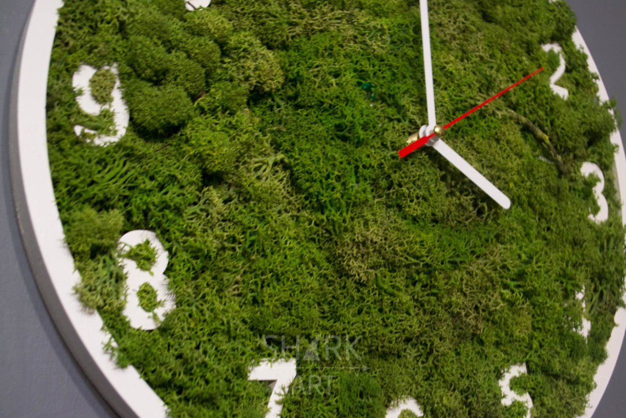 Футбольное поле из мха поделка