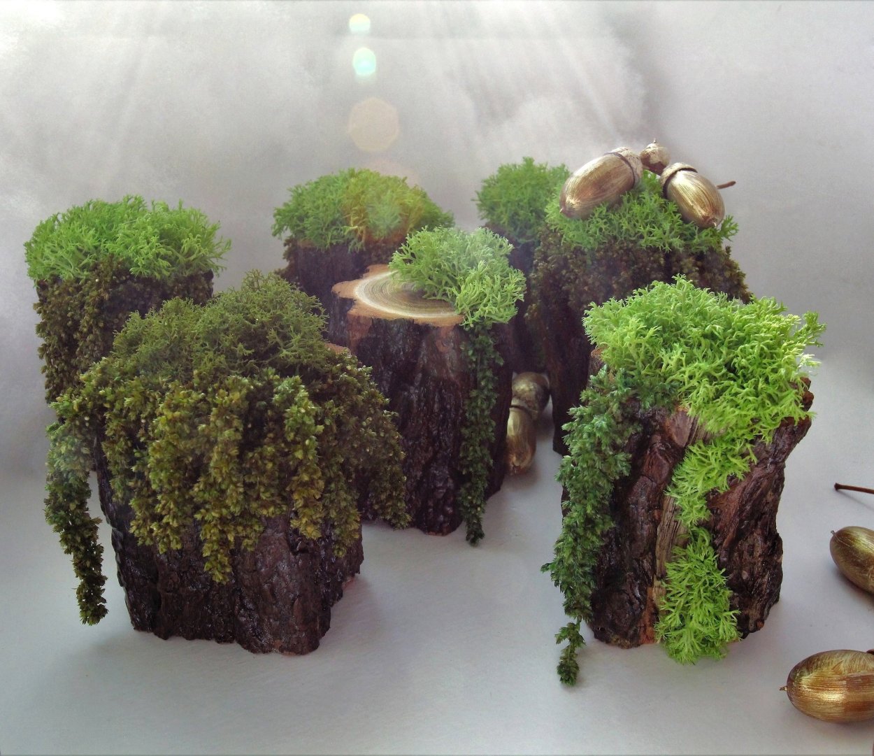 Поделки со мхом