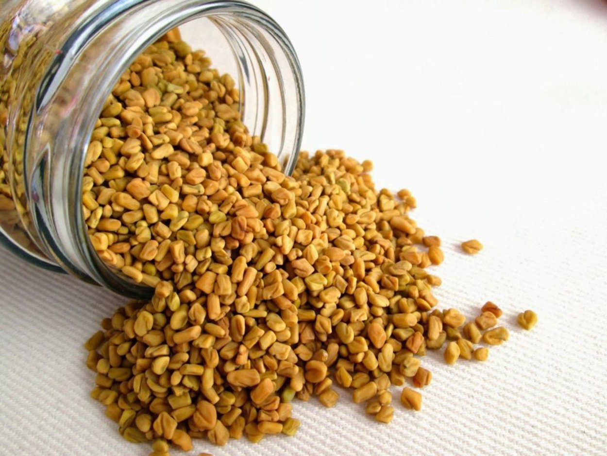 Семена пажитник Шамбала