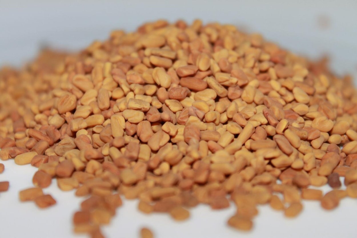 Хельба усимлиги