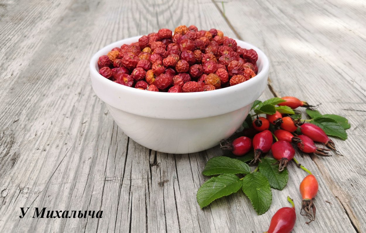 Шиповник Беггера сырье