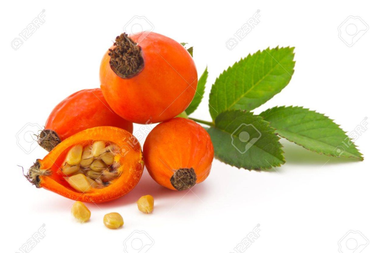 Плод цинародий шиповника