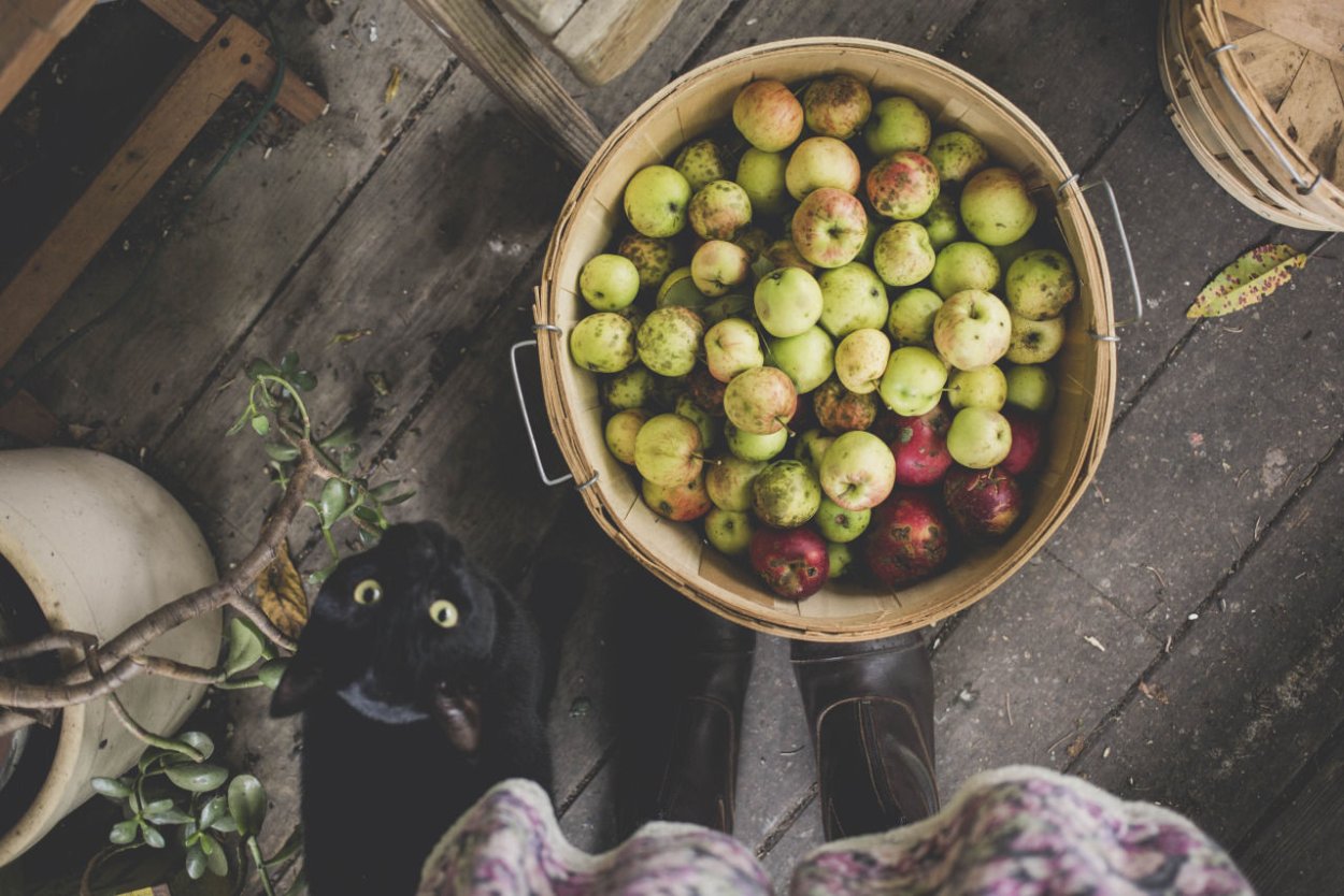 Яблоки Самайн