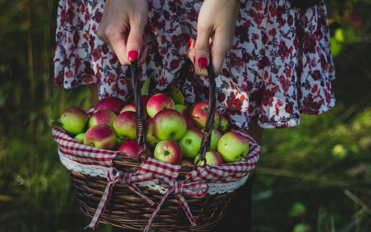 Урожай Эстетика