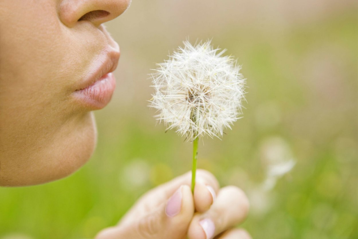 Аллергические цветы