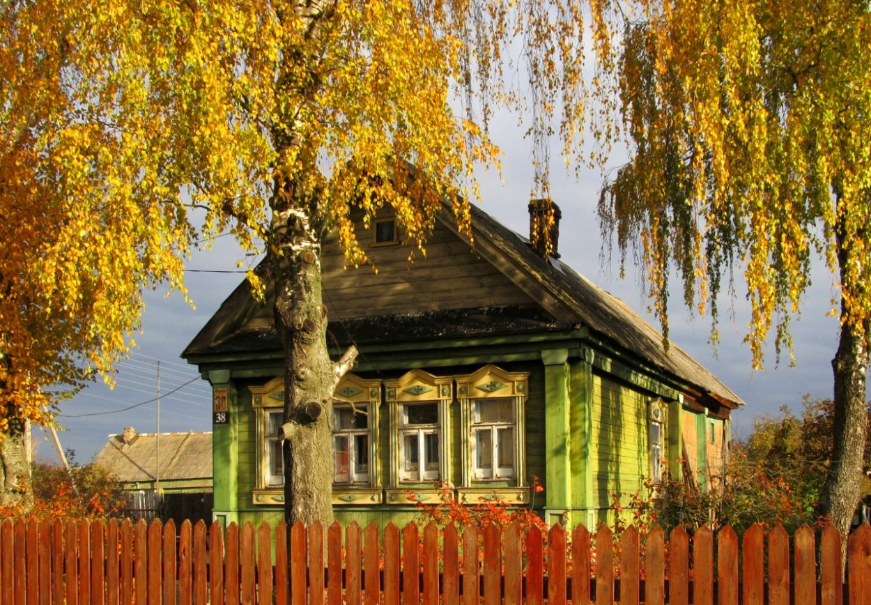 Деревенский дом с березой