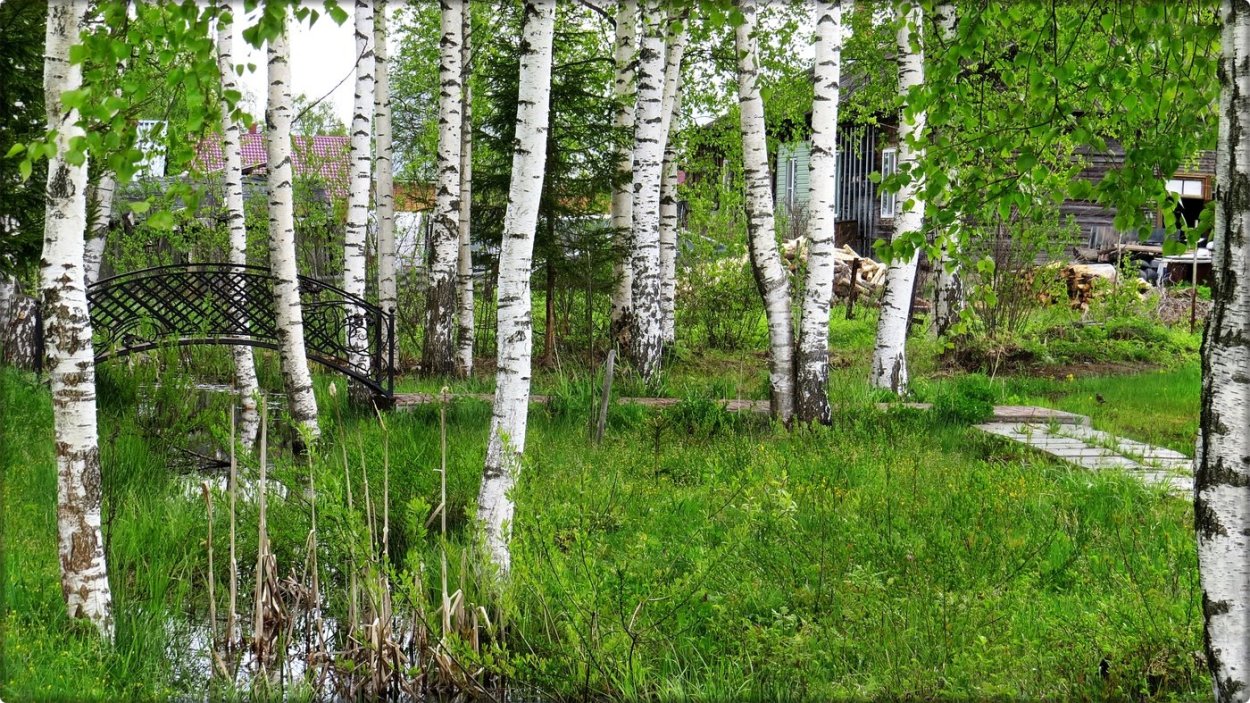 Березка, деревня Ленинка