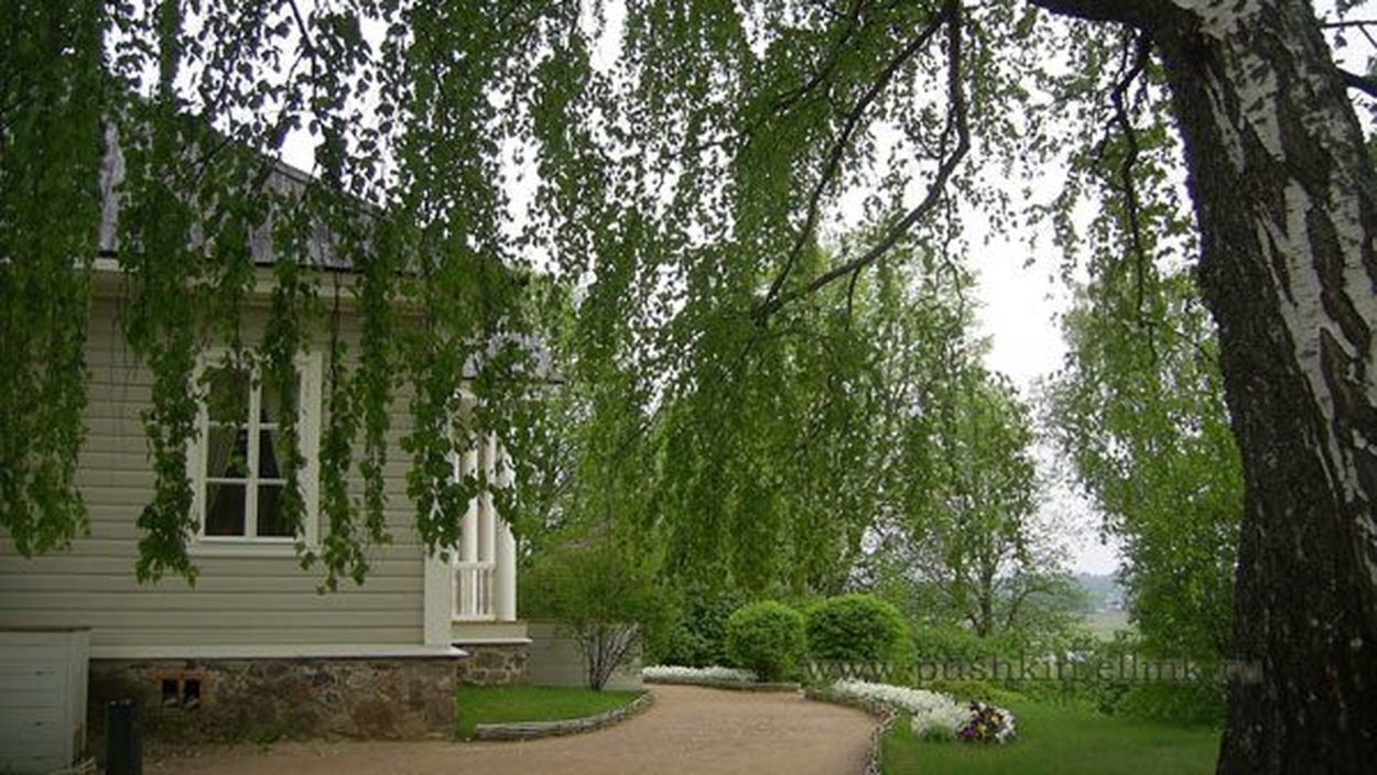 Дом Пушкина рядом с березой в Михайловском