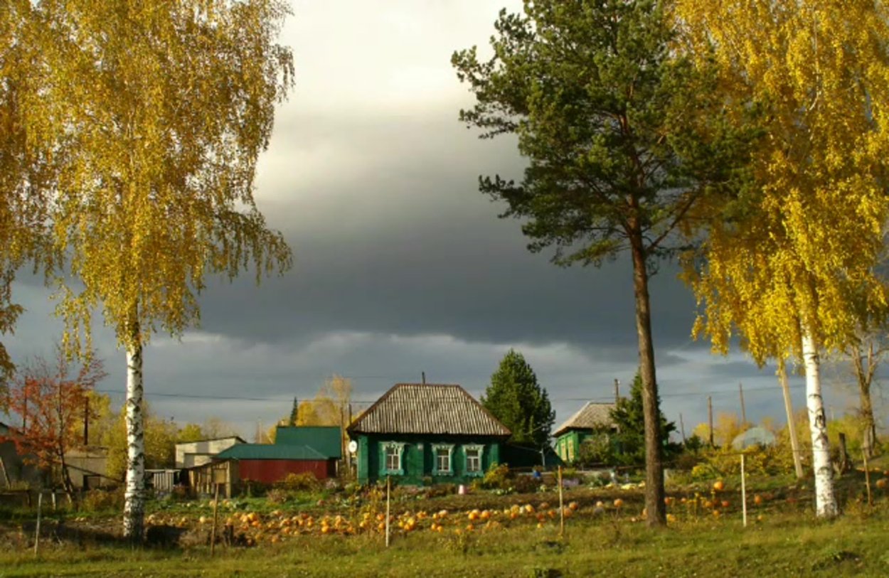 Деревня белая Березка в деревне Казаково