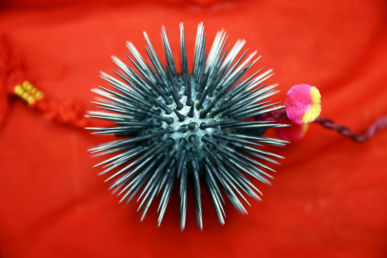 Колючий шар