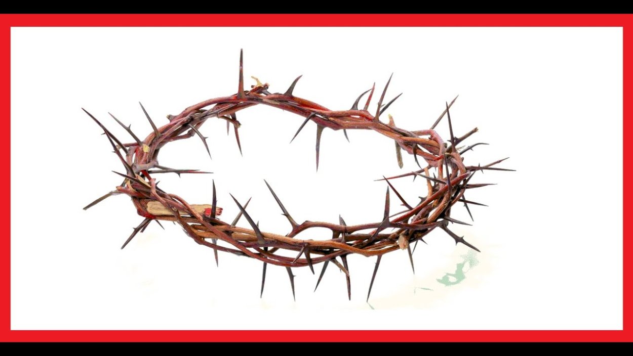Терновый венец на белом фоне