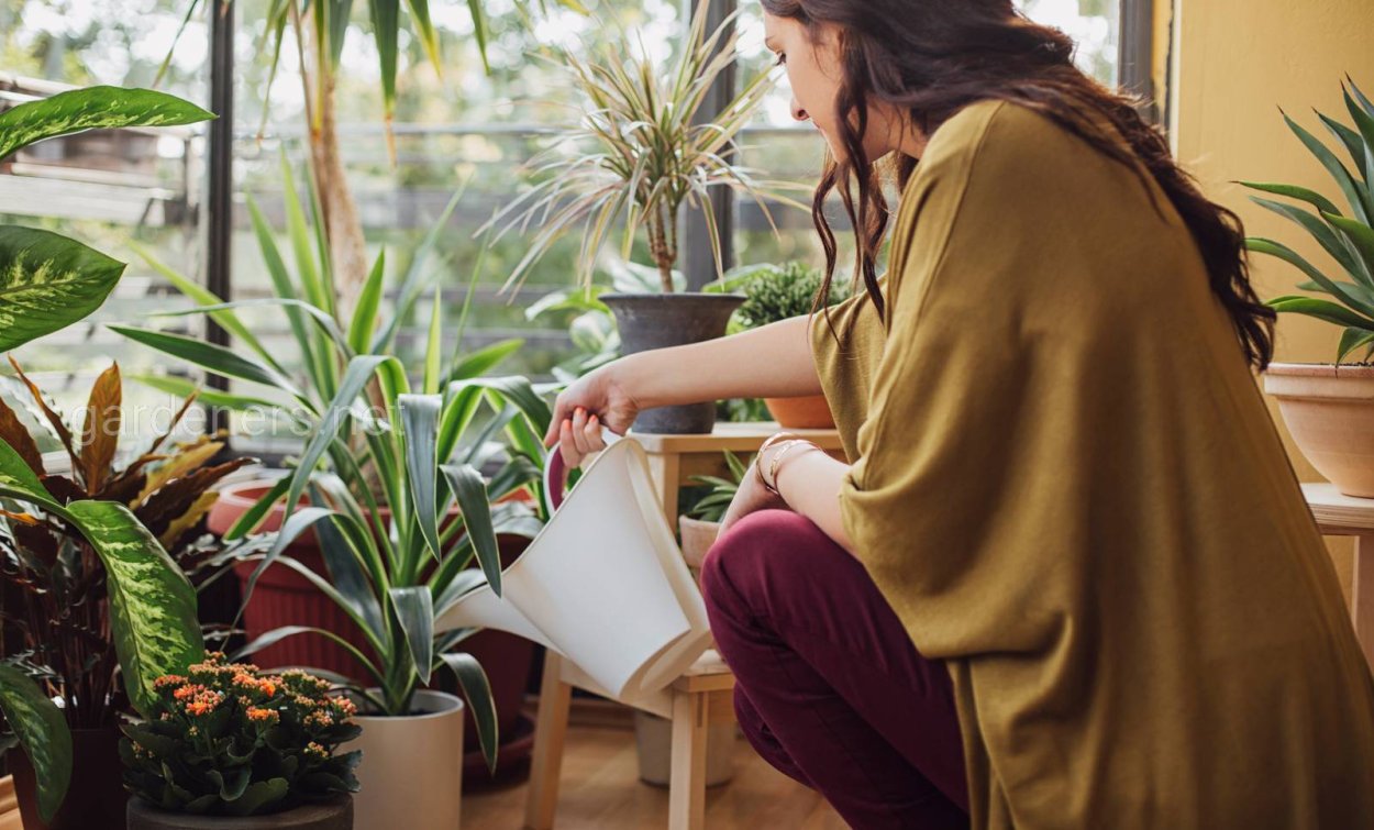 Женщина поливает цветы