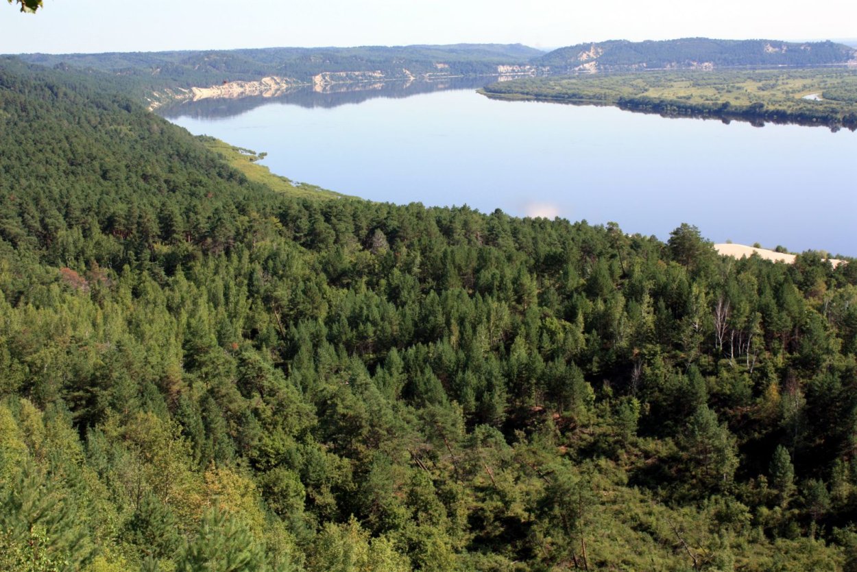 Река Зея Свободный