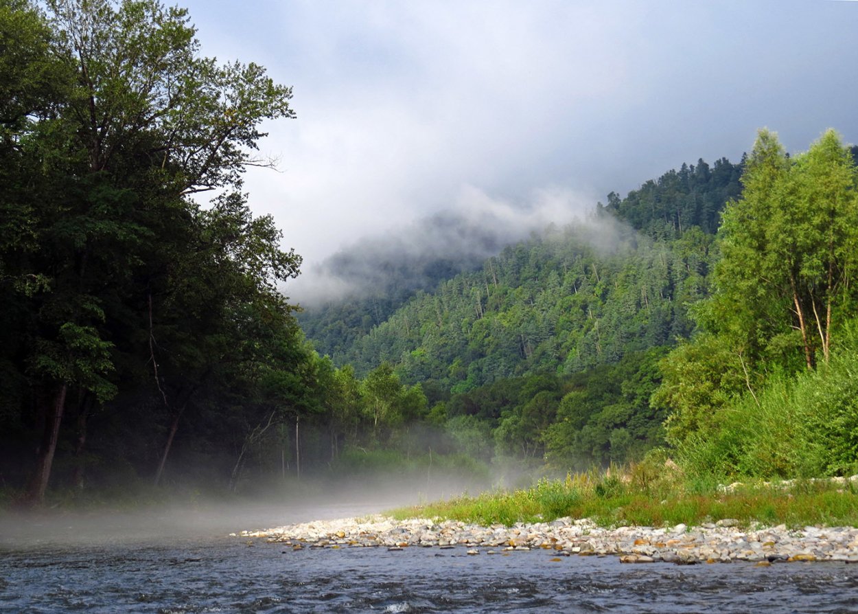 Дальний Восток Уссурийская Тайга