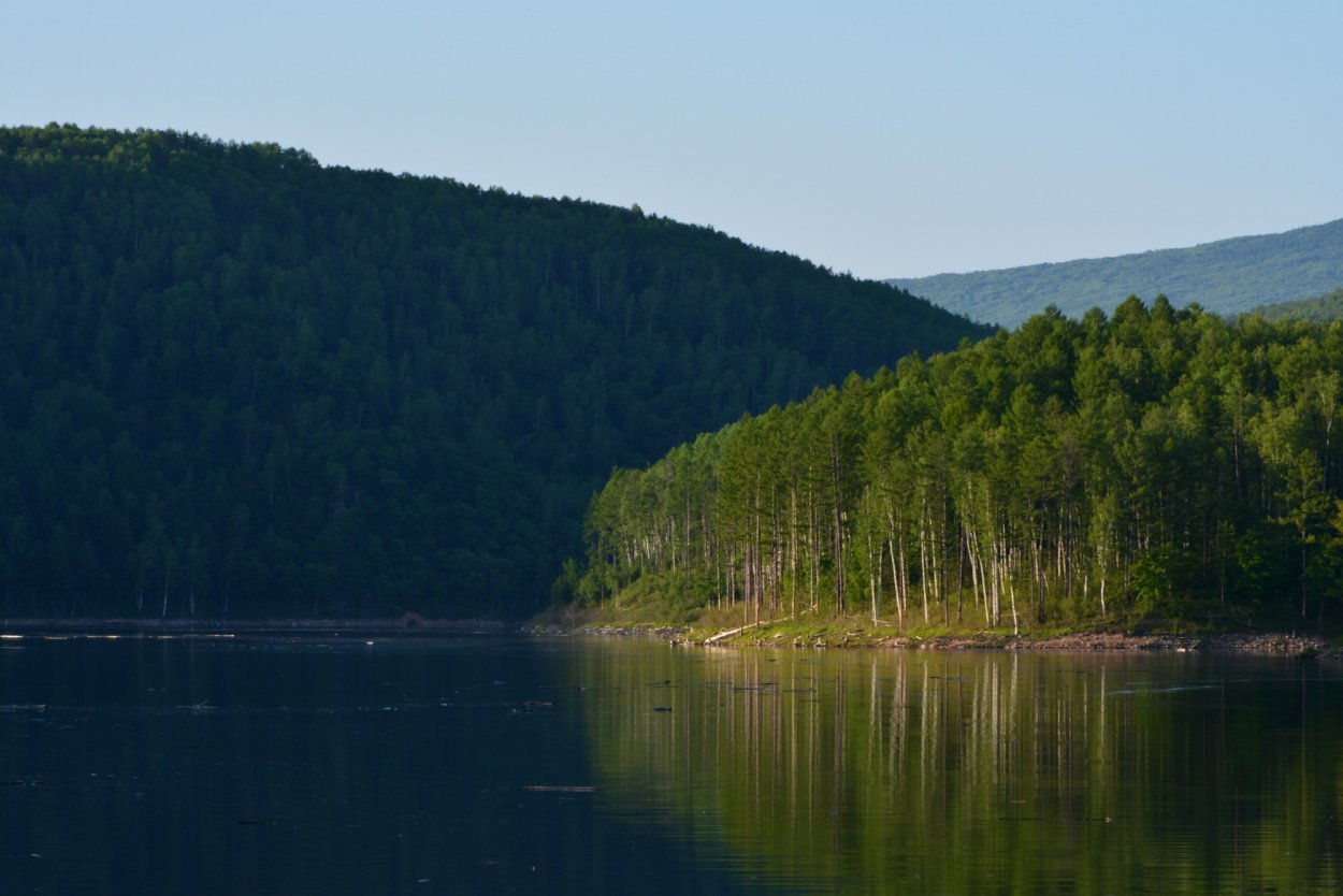 Дальневосточная Тайга