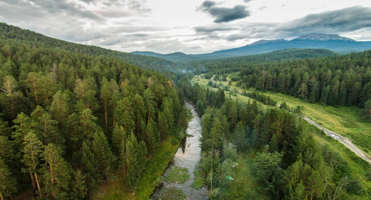 Тайга Южного Урала