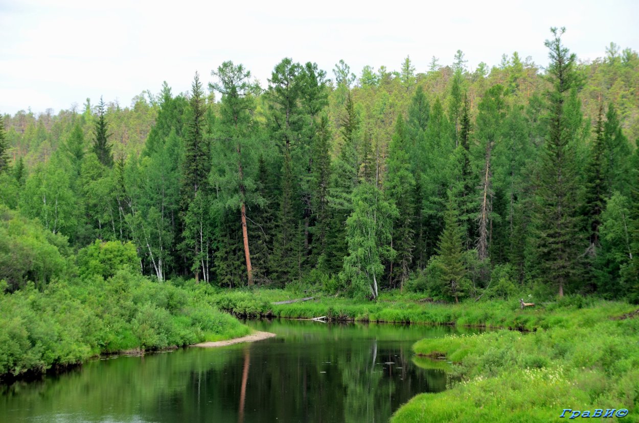 Иркутск Тайга река