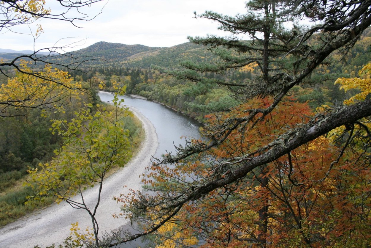 Нац парк Бикин Приморский край