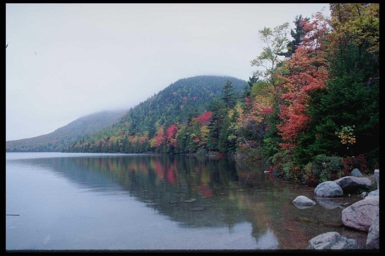 Талакан Амурская область природа