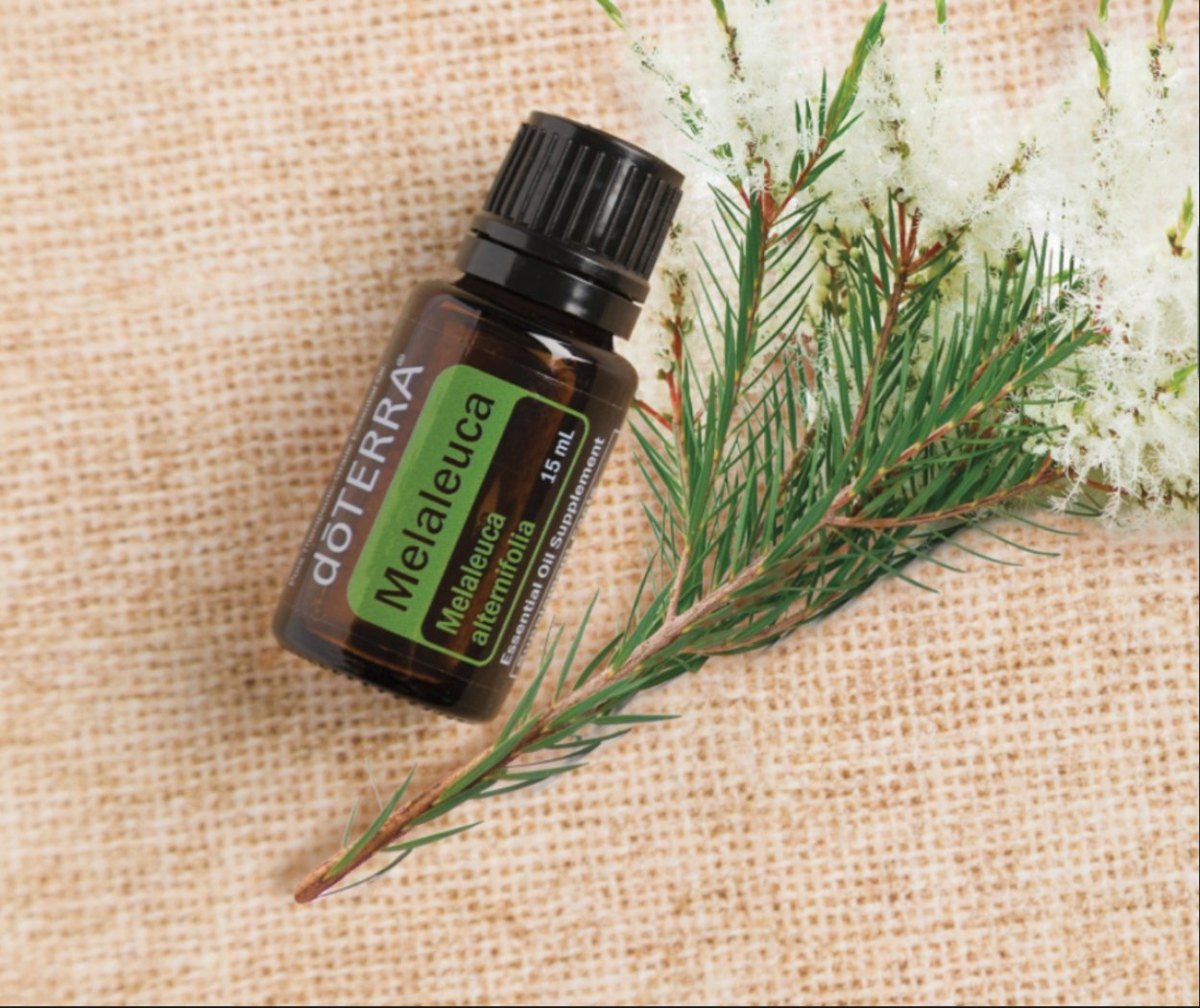 Чайное дерево эфирное масло DOTERRA