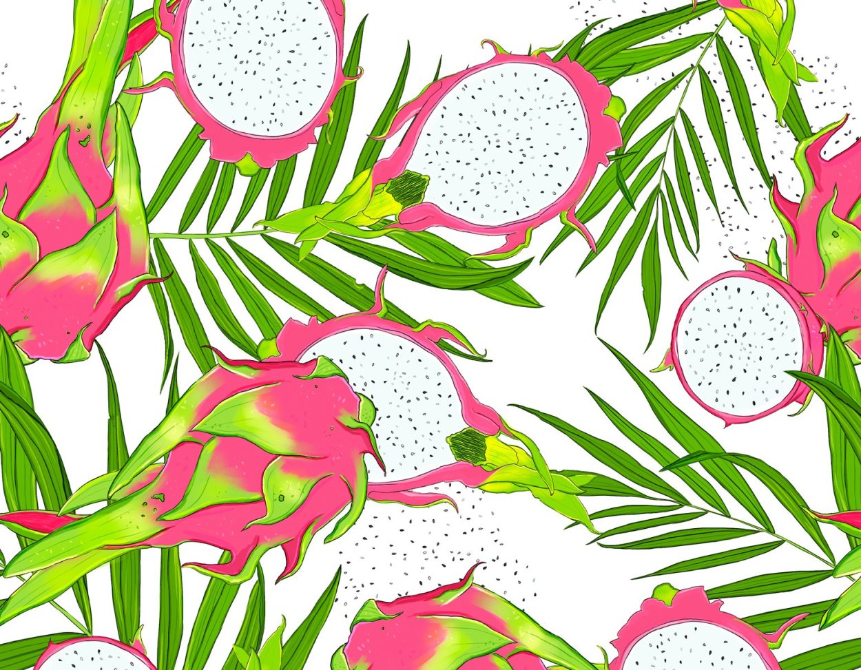 Питахайя вектор