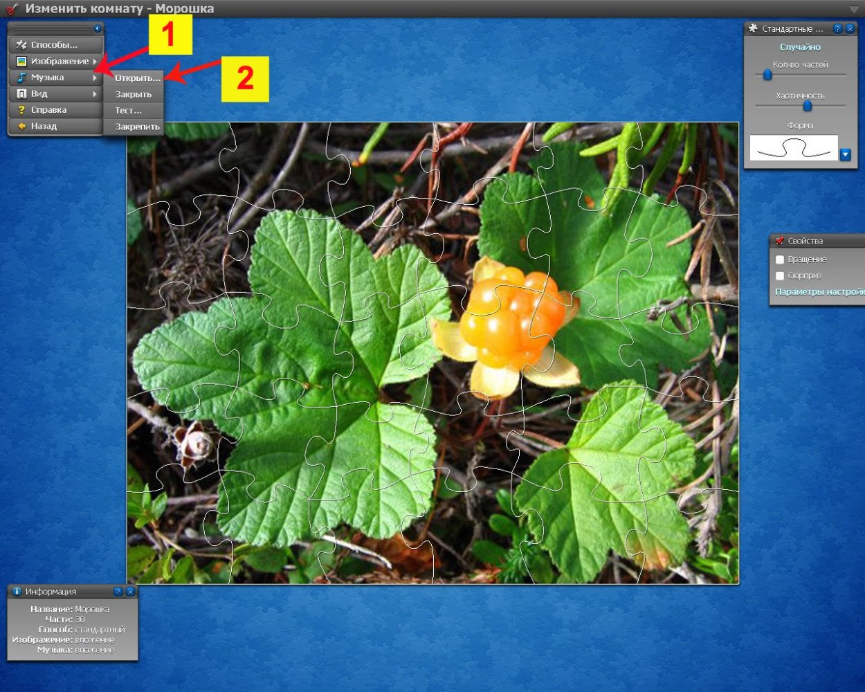 Морошка приземистая