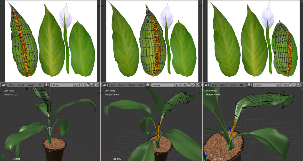 Подповерхностное рассеивание растительность