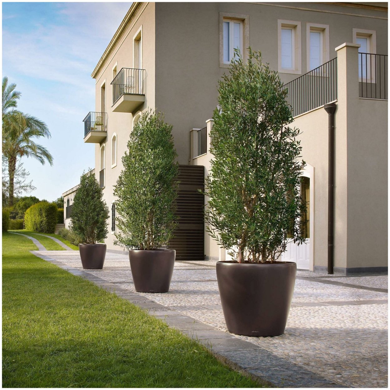 Кашпо Лечуза Classico