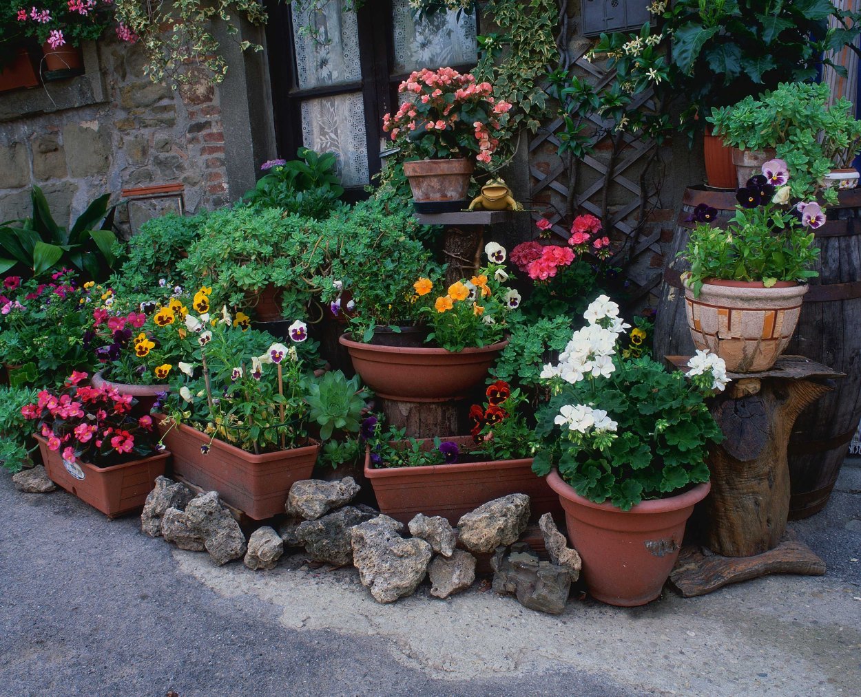 Цветник в горшках на участке