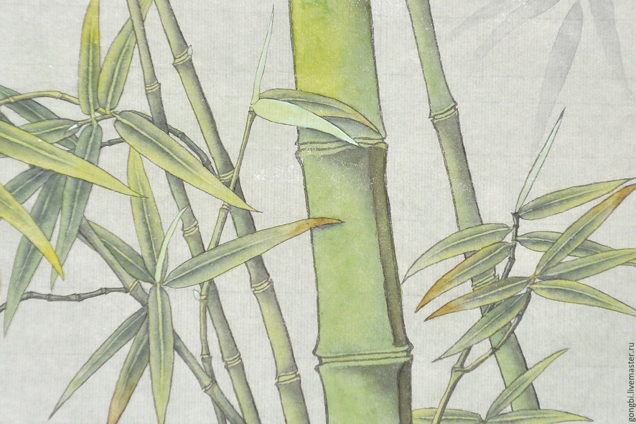 Гунби побеги бамбука