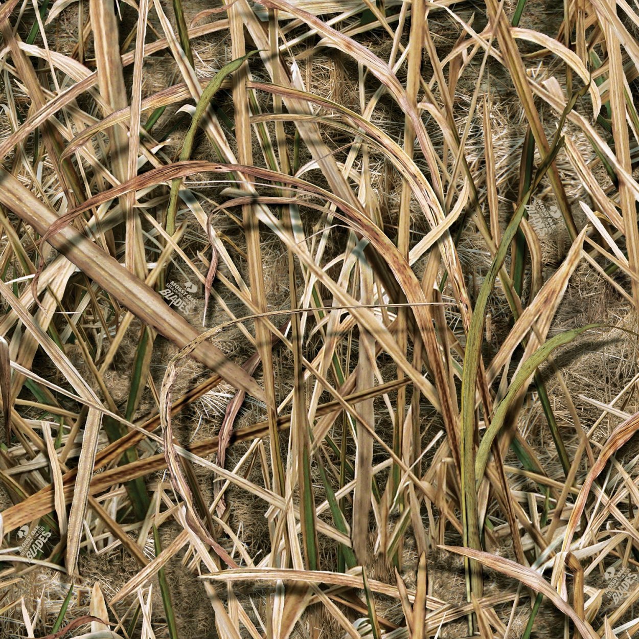 Оксфорд камыш max5