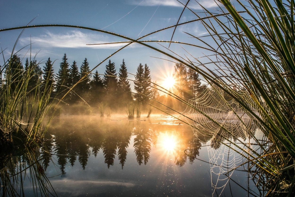 Умиротворяющая природа