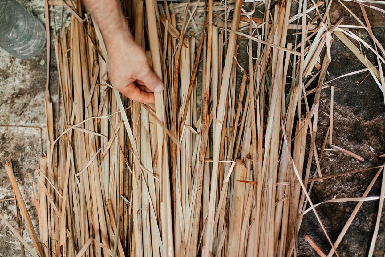 Сушка Рогоза