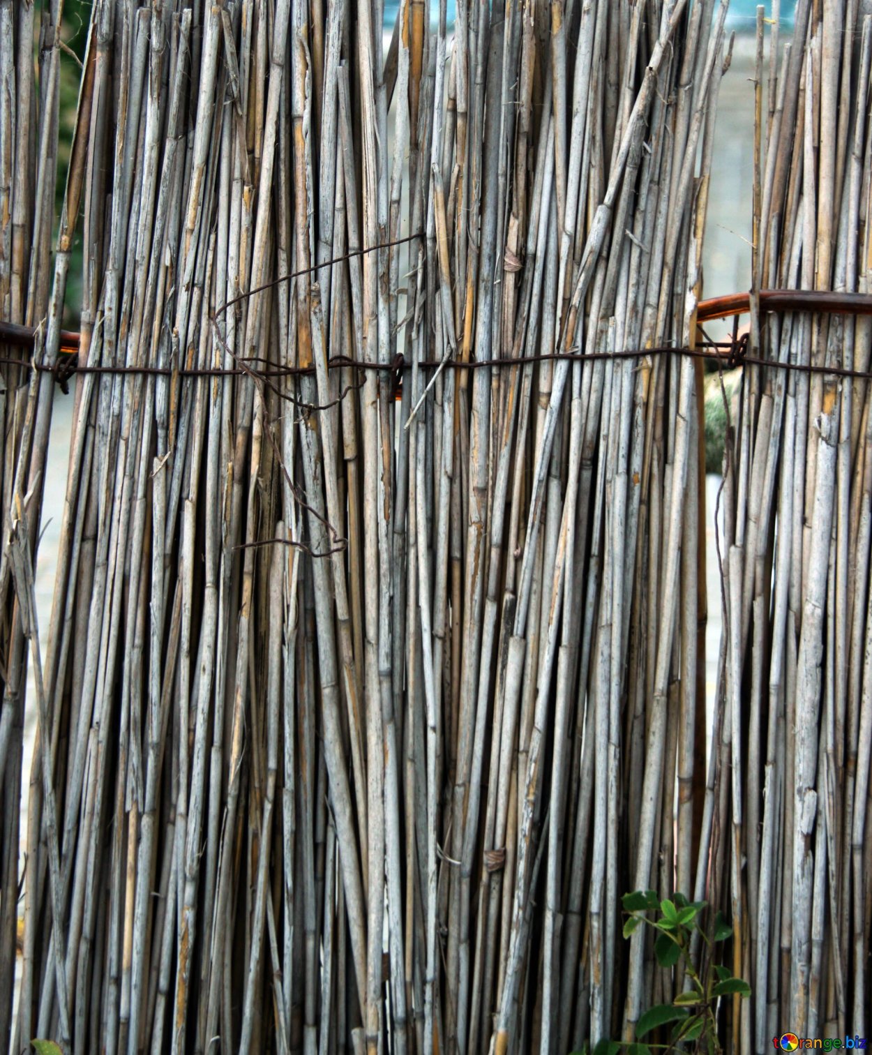 Крыша из веток