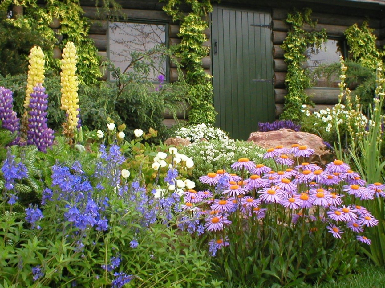 Миксбордер Кантри