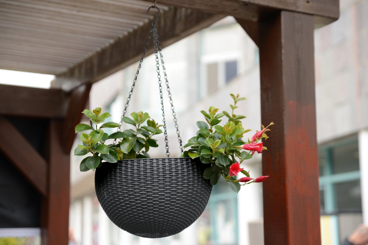 Кашпо Hanging Sphere Planter