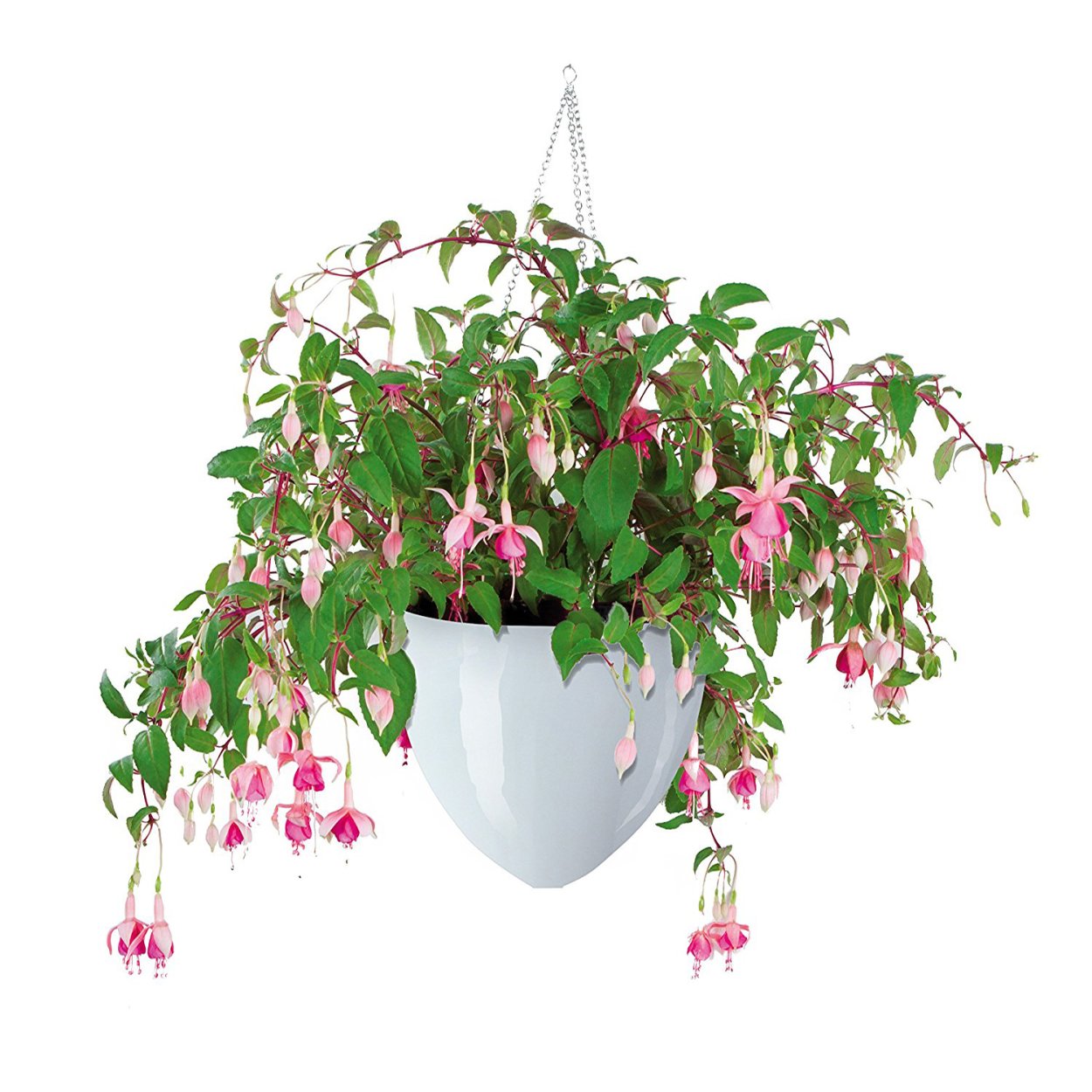 Кашпо подвесное Scheurich