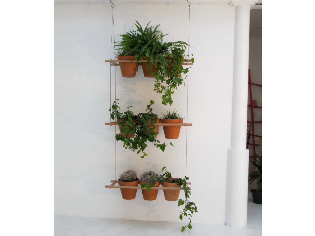 Плющ в горшке на стеллаже