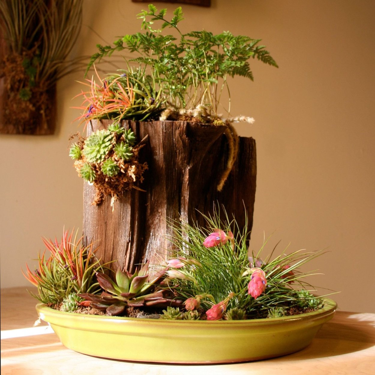 Композиция в горшке