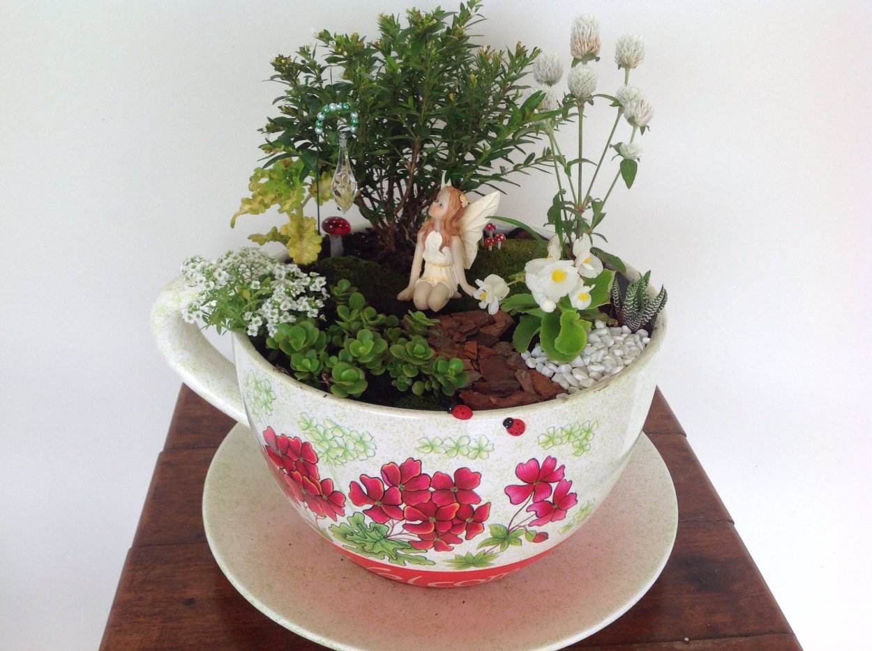 Мини сад в кружке