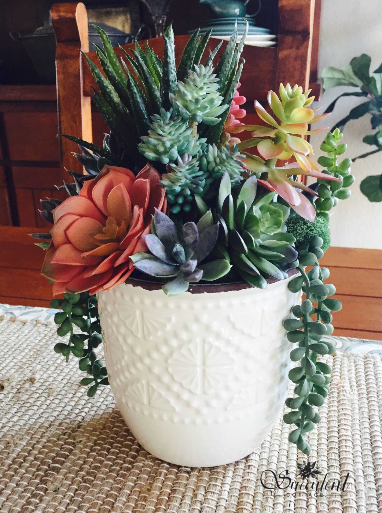 Суккуленты в горшках композиции