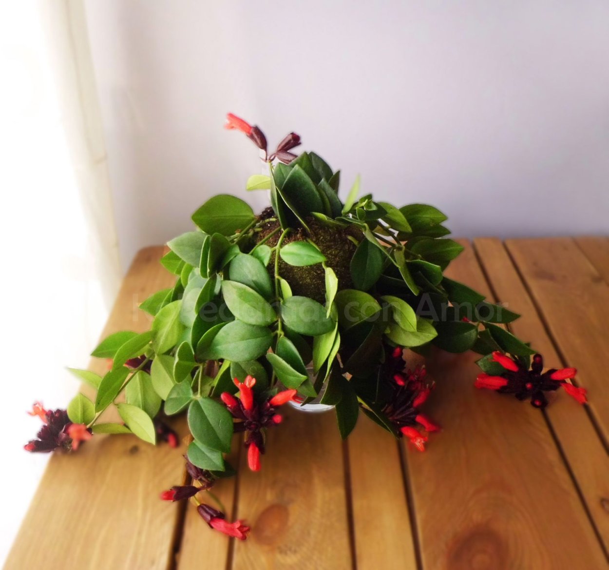 Эски нантуса Мона Лиза