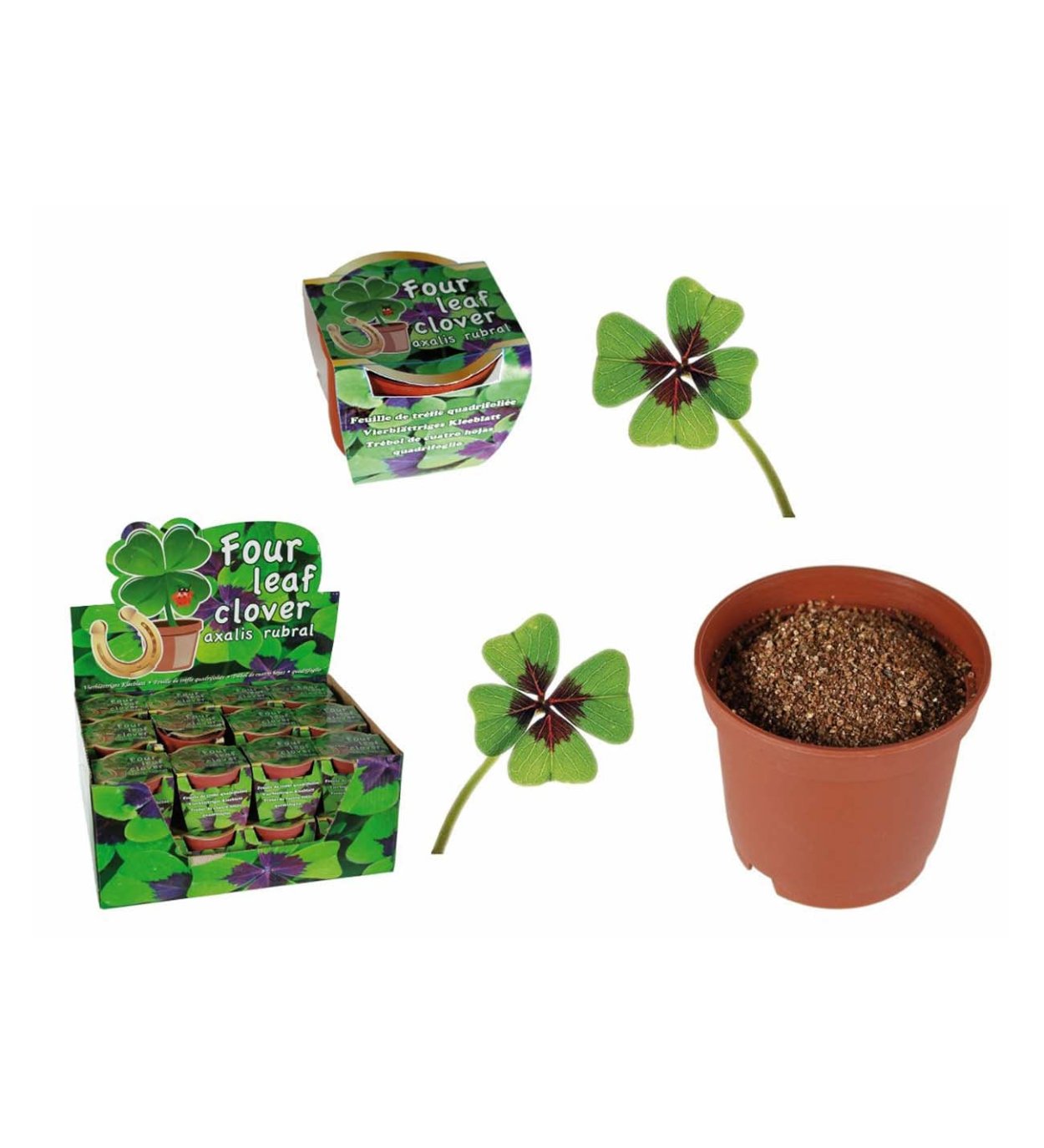 Семена четырехлистного клевера