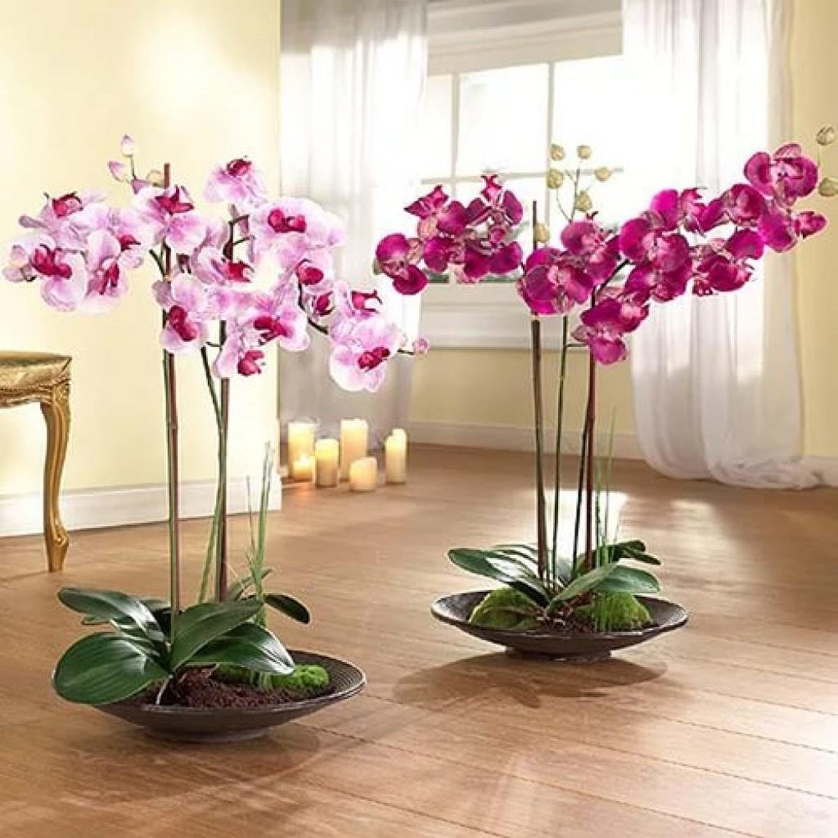 Обои с орхидеями на кухне (82 фото)