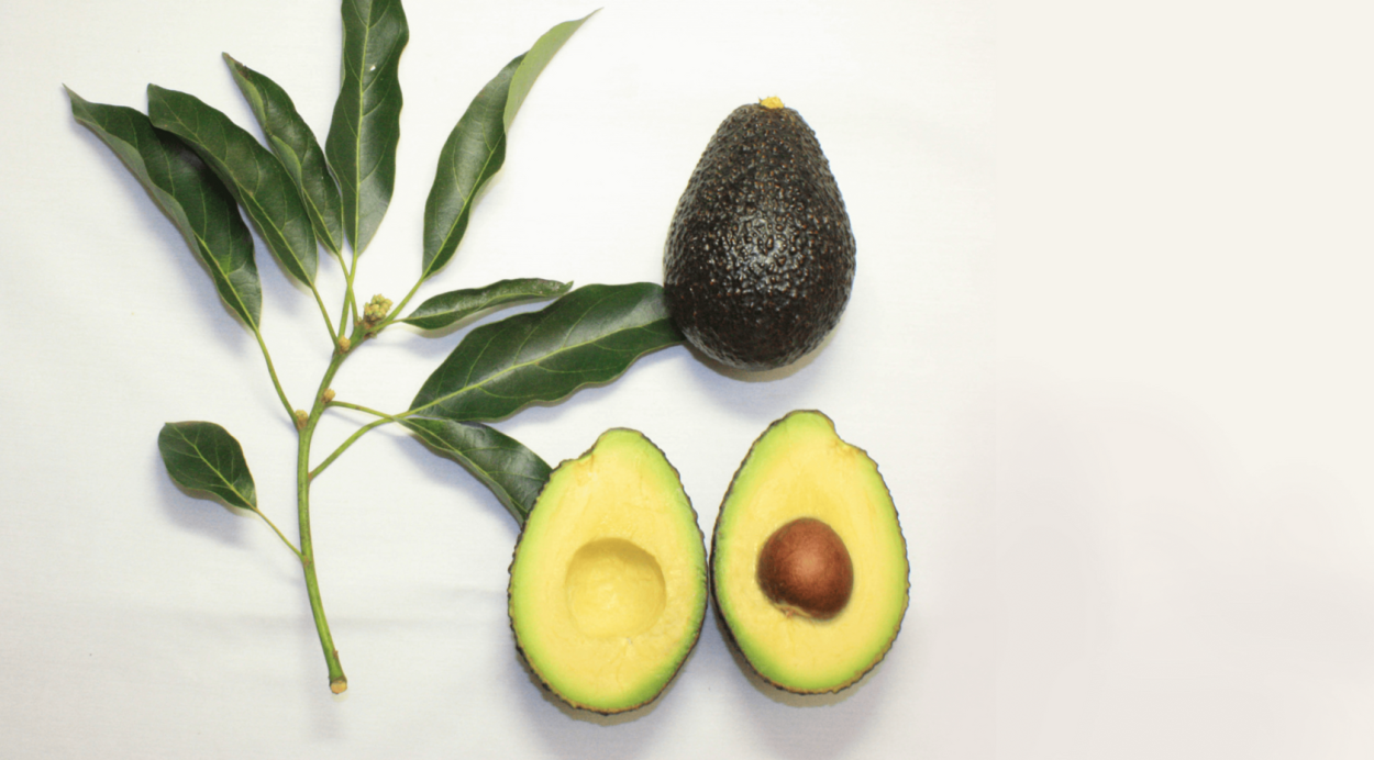 Авокадо листва