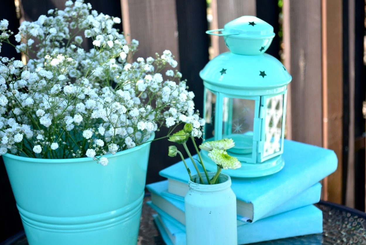 Мятное комнатное растение