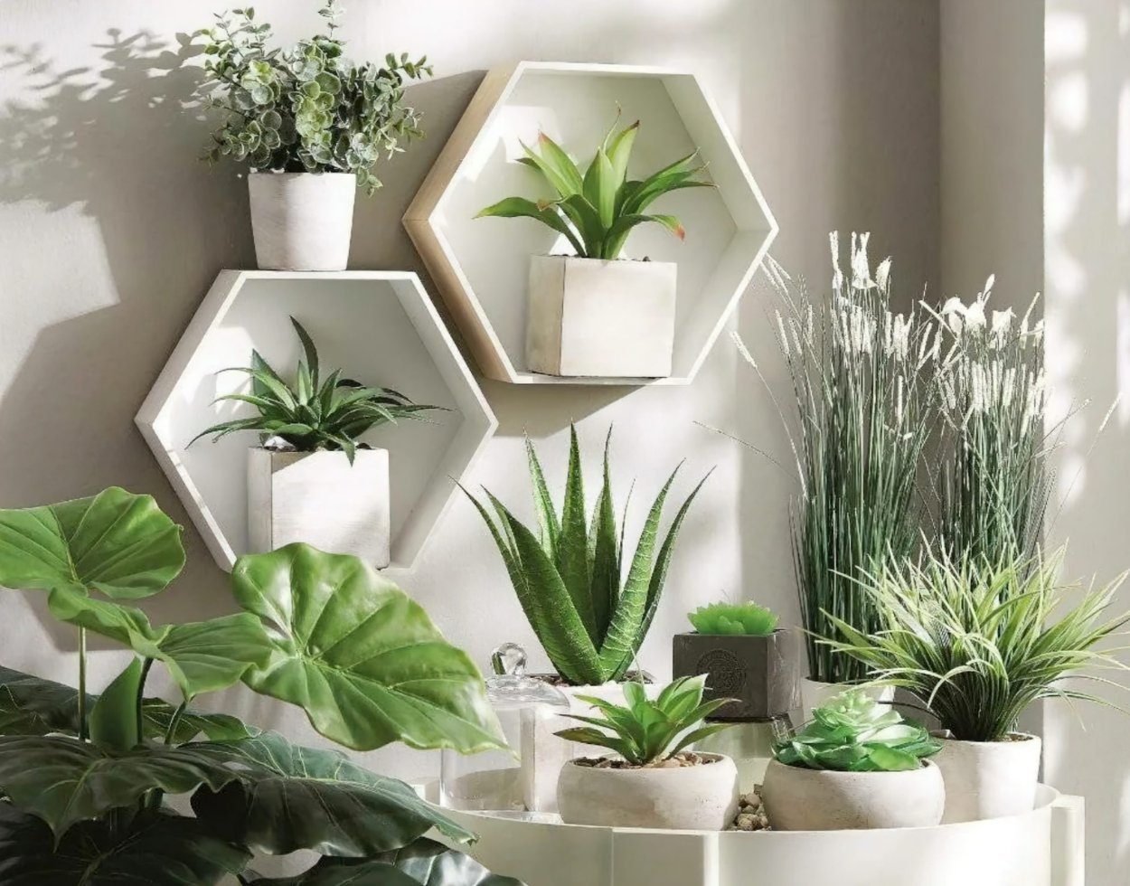 Комнатные цветы в интерьере