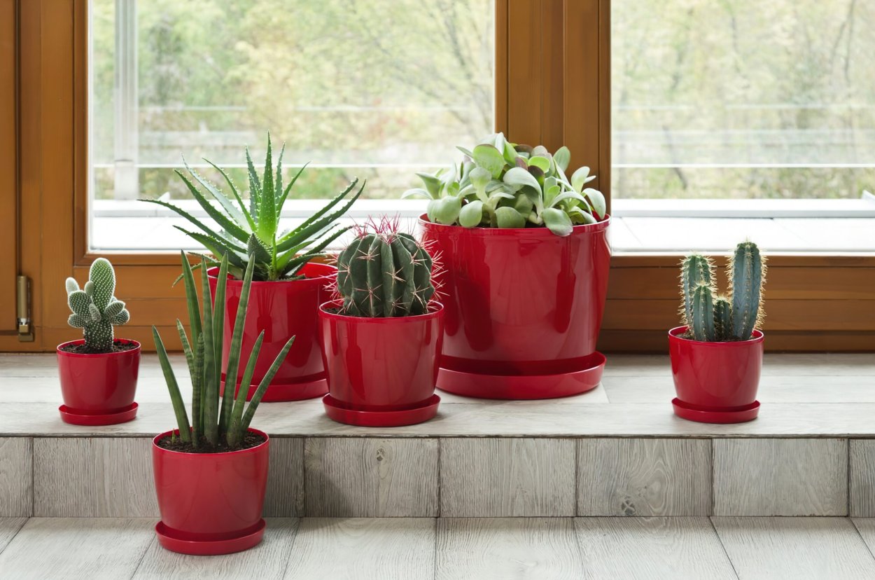 Горшки для комнатных цветов