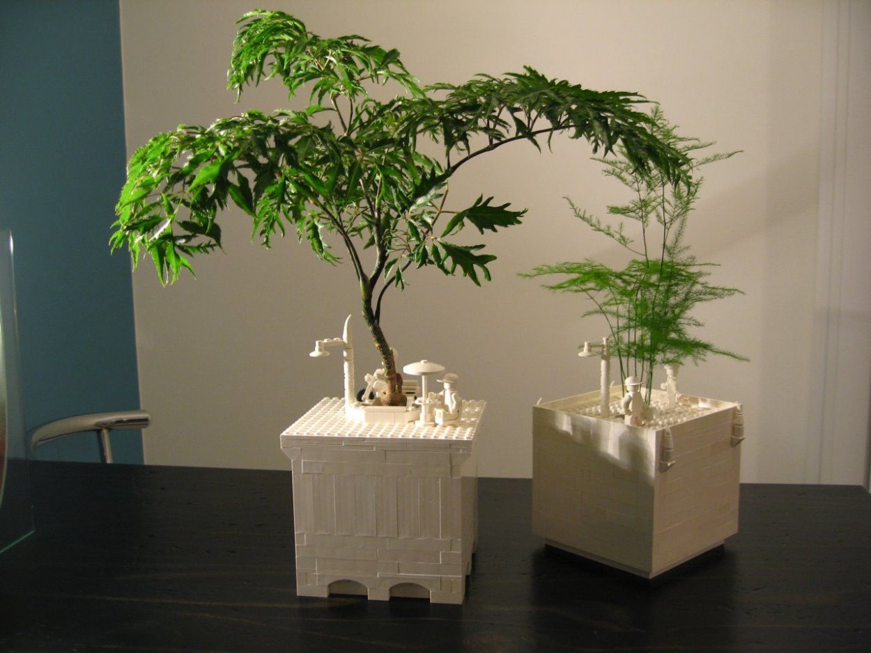 Необычный горшок для растений