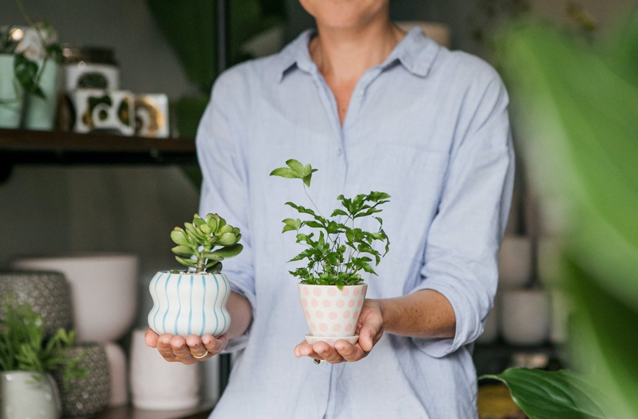 Одежда для любителей растений